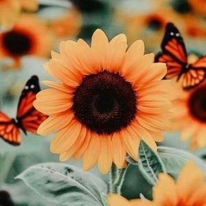 Meet your Posher, Elle